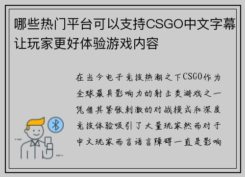 哪些热门平台可以支持CSGO中文字幕让玩家更好体验游戏内容